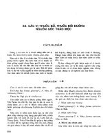 Những cây thuốc và vị thuốc Việt Nam (Phần II-XX) ppsx