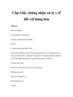 Cấp Giấy chứng nhận xử lý y tế đối với hàng hóa docx