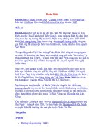 Nhà văn Đoàn Giỏi