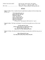 Đề thi HSG NgữVăn 7 cấp trường