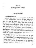 Biện pháp phòng chống các bệnh do virus từ động vật lây sang người (Phần 2) potx
