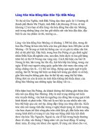 Làng Văn Hóa Đồng Bào Dân Tộc Đắk Nông ppsx