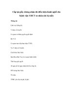 Cấp lại giấy chứng nhận đủ điều kiện hành nghề cho bệnh viện YHCT tư nhân (do bị mất) pdf