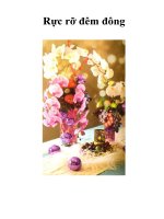 Rực rỡ đêm đông doc