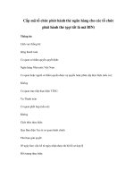 Cấp mã tổ chức phát hành thẻ ngân hàng cho các tổ chức phát hành thẻ (gọi tắt là mã BIN) docx