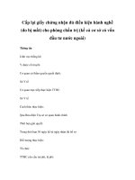 Cấp lại giấy chứng nhận đủ điều kiện hành nghề (do bị mất) cho phòng chẩn trị (kể cả cơ sở có vốn đầu tư nước ngoài) ppt