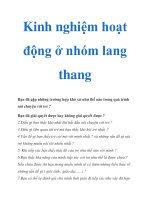 Kinh nghiệm hoạt động ở nhóm lang thang ppsx