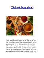 Cách sử dụng gia vị ppsx