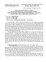 Bao cao thanh tich  truog học than thien