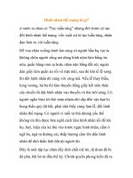 Hình nhân thế mạng là gì? ppt