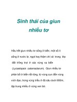 Sinh thái của giun nhiều tơ potx