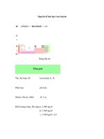 Nguyên tố hóa học Lưu huỳnh pdf