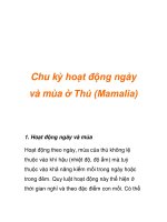 Chu kỳ hoạt động ngày và mùa ở Thú (Mamalia) pot