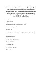 Quyết toán chế độ thai sản đối với lao động nữ là người tàn tật, người bị tai nạn lao động, bệnh nghề nghiệp hoặc là thương binh, hoặc người hưởng chính sách như thương binh có tỷ lệ thương tật từ 21% trở lên đang đóng BHXH bắt buộc, sinh con pdf