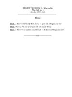 đề thi lại sinh 6