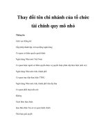 Thay đổi tên chi nhánh của tổ chức tài chính quy mô nhỏ pot