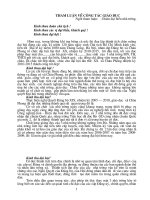 Tham luan dai hoi Dang bo du y