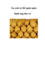 Ăn xoài có thể ngăn ngừa bệnh ung thư vú pot