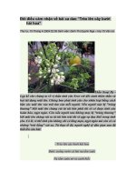 Đôi điều cảm nhận về bài ca dao