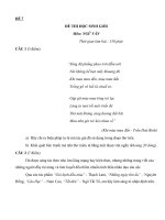 Đề HSG môn Văn 8 - Số 07 (GV: Cao Thị Hằng Nga)