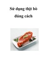 Sử dụng thịt bò đúng cách pptx