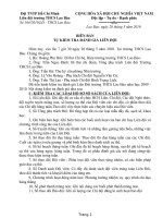 báo cáo tự kiểm tra đánh giá Liên đội