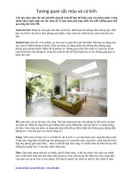 Tương quan sắc màu và cá tính pptx