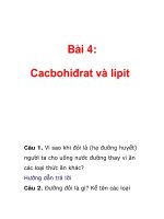 Bài 4: Cacbohiđrat và lipit pdf