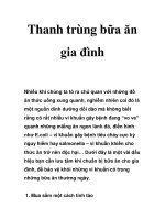 Thanh trùng bữa ăn gia đình pdf