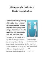 Những nơi yêu thích của vi khuẩn trong nhà bạn ppt