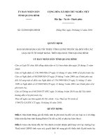 Quyết định số 22/2010/QĐ-UBND pptx