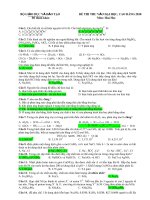 De -DA thu DH 2010 hoa hay