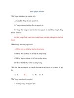 Trắc nghiệm mẫu Bo pdf