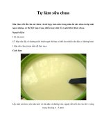 Tự làm sữa chua ppsx