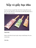 Xếp vỏ giấy bọc đũa potx