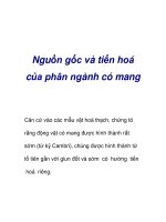 Nguồn gốc và tiến hoá của phân ngành có mang pps