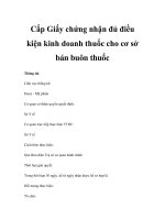 Cấp Giấy chứng nhận đủ điều kiện kinh doanh thuốc cho cơ sở bán buôn thuốc ppsx