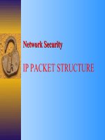 Đồ án an toàn và bảo mật mạng cấu trúc IP packet
