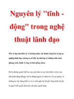 Nguyên lý ''''''''tĩnh động'''''''' trong nghệ thuật lãnh đạo pdf