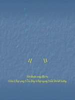 Bài giảng xây dựng cầu 2 P11 pdf