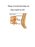 Phòng và trị thoái hóa khớp, cột sống ở người cao tuổi pdf