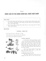 Giáo trình dược liệu (Bài 6) potx