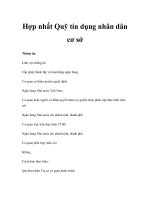 Hợp nhất Quỹ tín dụng nhân dân cơ sở pdf