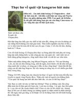 Thực hư về quái vật  kẩngoo hút máu