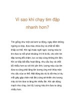 Vì sao khi chạy tim đập nhanh hơn? pptx
