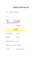 Nguyên tố hóa học Clo pot