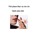 Thủ phạm thực sự của các bệnh mãn tính potx
