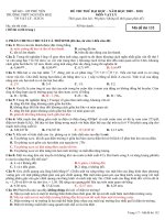 de va DA thi thu DH II Nguyen Hue PY