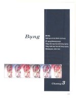 Atlas giải phẫu người - Phần nội tạng (Phần 11) ppsx