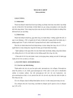 Giáo trình bệnh học 2 (Phần 14) ppsx